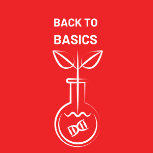 Back To Basics