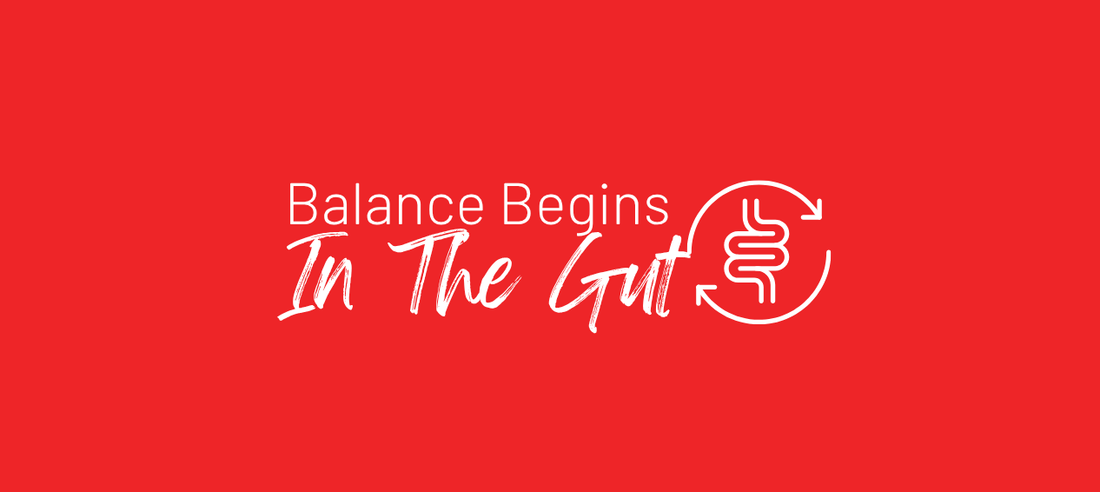 Balance Begins in the Gut