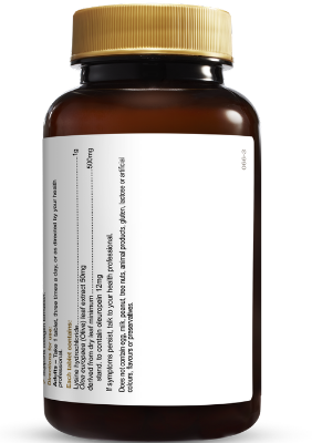 Herbs of Gold Lysine + Olive Leaf 100 Tablets - Go Vita Tanunda - VITAMINS SUPPLEMENTS -