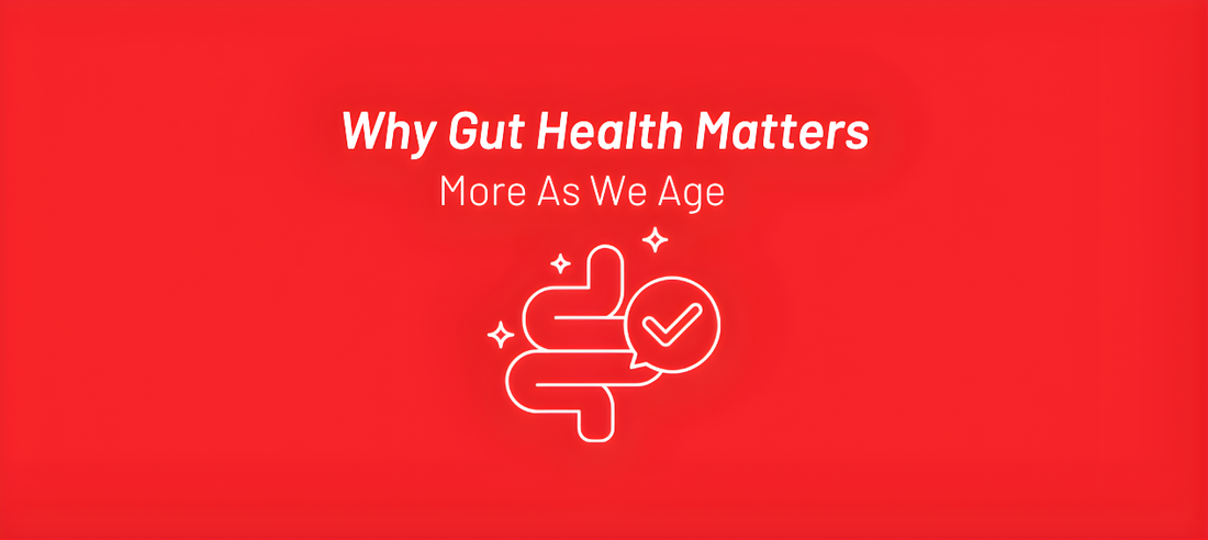 Why Gut Health Matters More As We Age