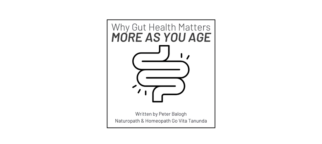 Why Gut Health Matters More As We Age