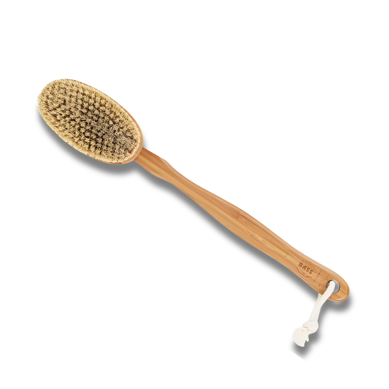 Bare body brush with wooden handle and natural bristles on a white background