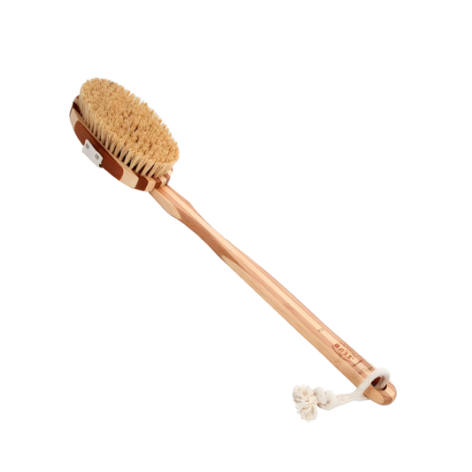 Wooden body brush with natural bristles on a white background