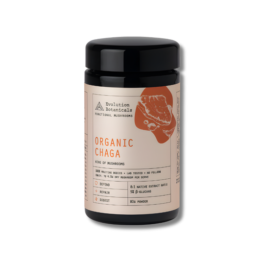Jar of organic chaga powder with a black lid on a white background