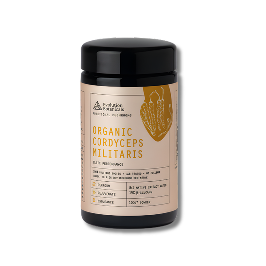 Jar of Organic Cordyceps Militaris by Evolution Botanicals on a white background