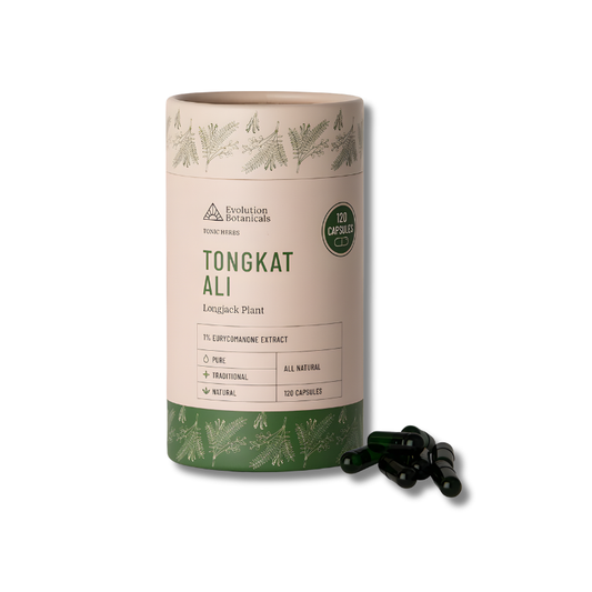 Tongkat Ali supplement packaging with capsules on a white background