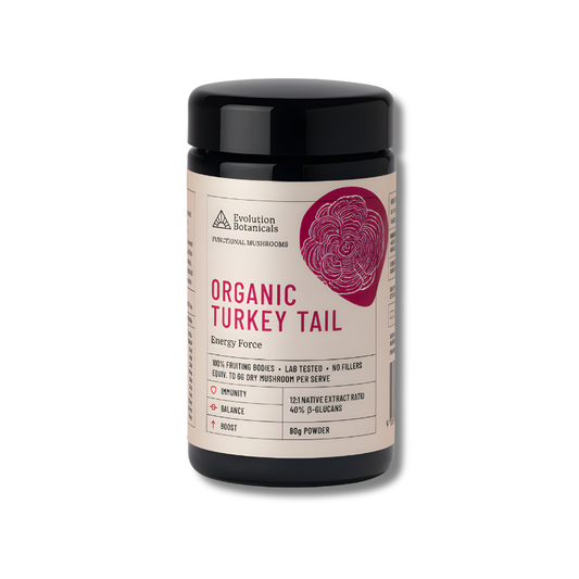 Jar of Organic Turkey Tail powder with black lid on a white background