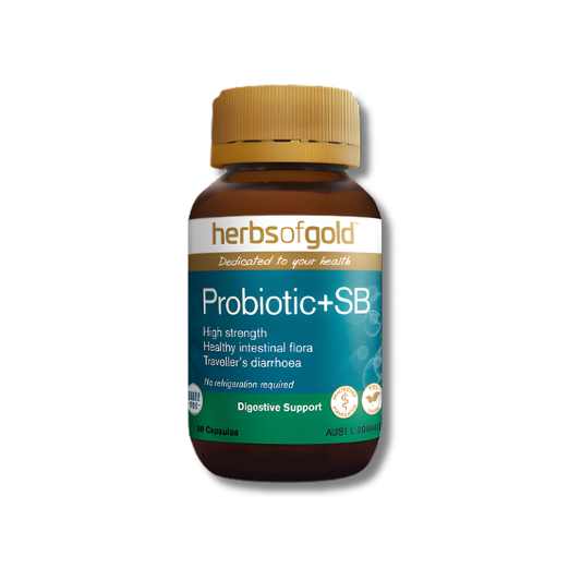 Herbs of Gold Probiotic+SB supplement bottle on a white background