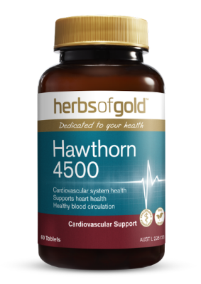 Herbs of Gold Hawthorn 4500 60 Tablets - Go Vita Tanunda - VITAMINS SUPPLEMENTS -