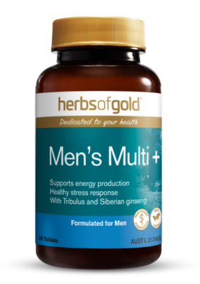 Herbs of Gold Mens Multi - Go Vita Tanunda - VITAMINS SUPPLEMENTS - 30 Tabs